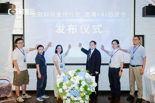 一朵“云”下的支付出海通解(图2)