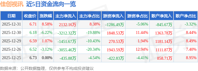 佳创视讯（300264）12月31日主力资金净买入213216万元