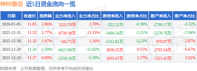 股票行情快报：神州泰岳（300002）1月5日主力资金净买入312170万元