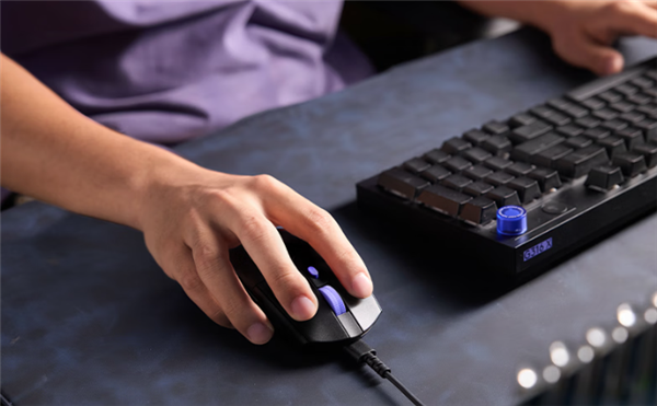 2026年02月08日Bl(图8)