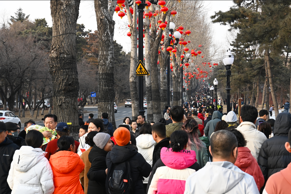 单日87万客流的背后：“这就是我们想的年味儿！”(图1)