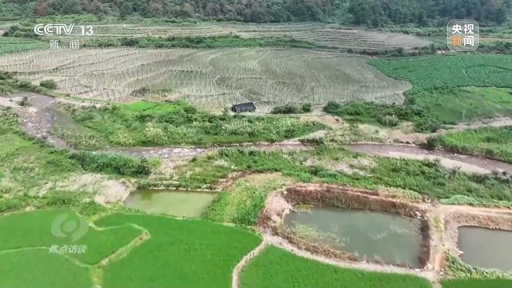 焦点访谈丨粮食种植面积竟成“数字游戏”起底湖南江华水稻虚假台账(图2)