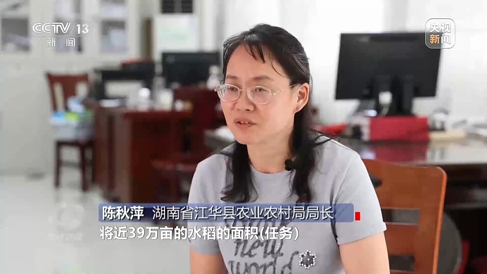 焦点访谈丨粮食种植面积竟成“数字游戏”起底湖南江华水稻虚假台账(图3)
