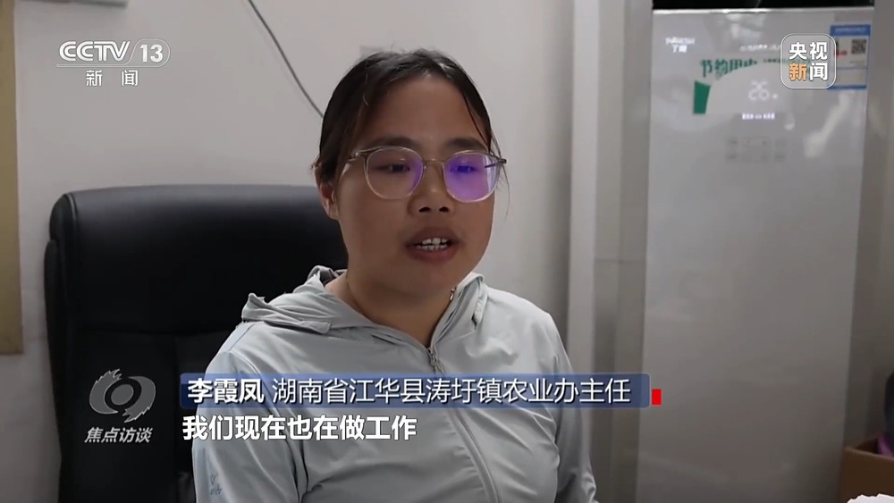 焦点访谈丨粮食种植面积竟成“数字游戏”起底湖南江华水稻虚假台账(图4)