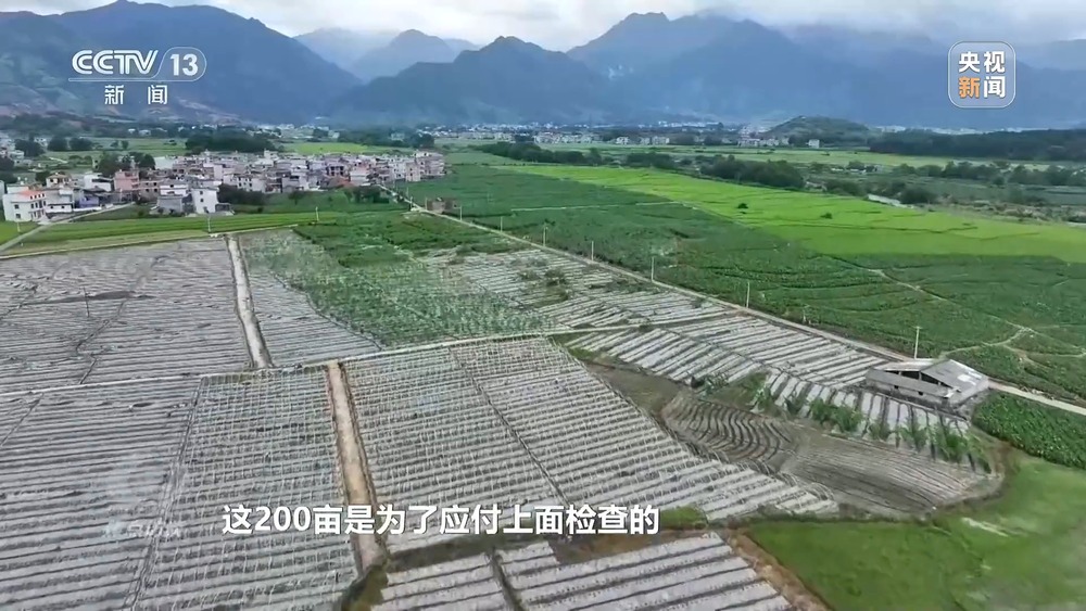 焦点访谈丨粮食种植面积竟成“数字游戏”起底湖南江华水稻虚假台账(图6)