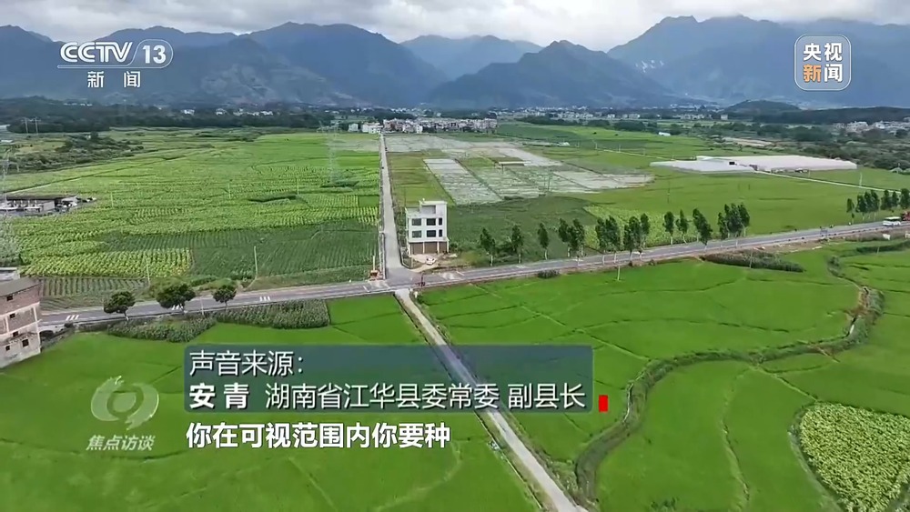 焦点访谈丨粮食种植面积竟成“数字游戏”起底湖南江华水稻虚假台账(图9)