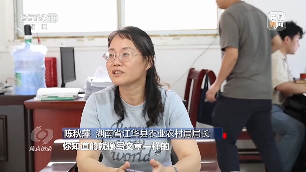 焦点访谈丨粮食种植面积竟成“数字游戏”起底湖南江华水稻虚假台账(图11)